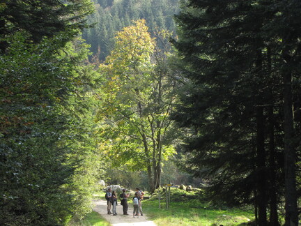 20080926 155346